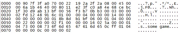 Binary Protocol Hex Bytes