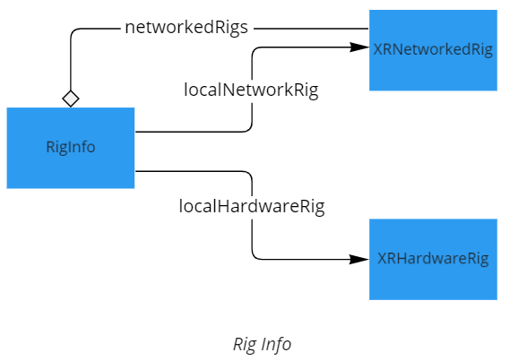 RigInfo content